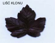 LI�� KLONU