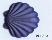 MUSZLA