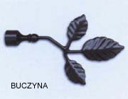 BUCZYNA